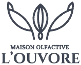 Maison Olfactive L'ouvore