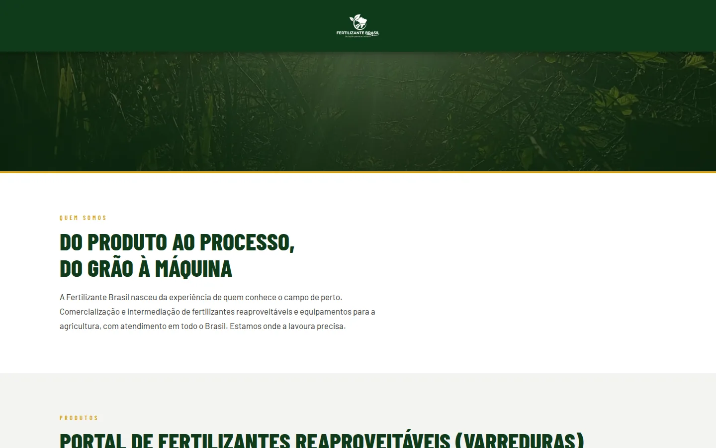 Seção institucional do site da Fertilizante Brasil explicando o negócio