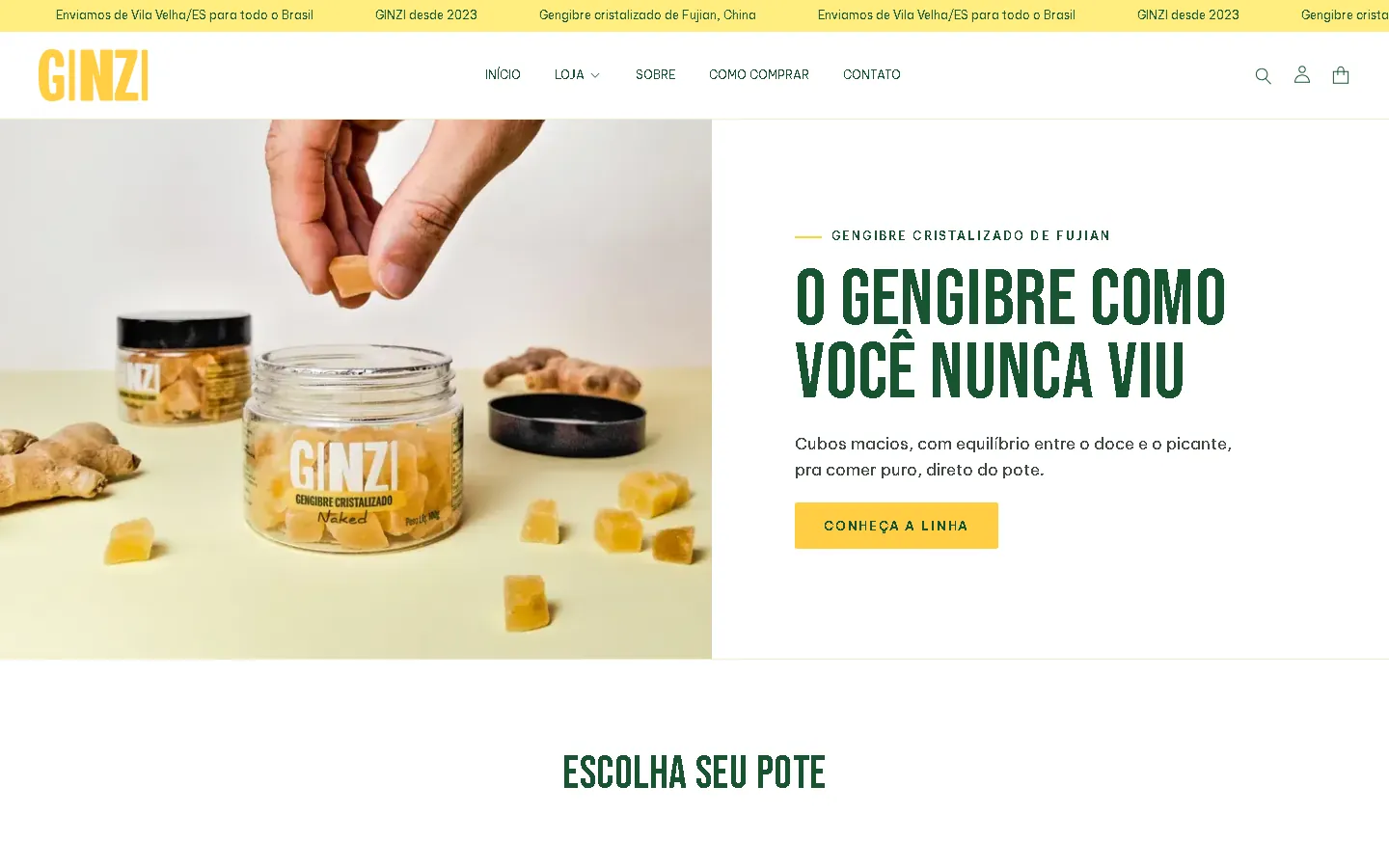 Home da GINZI no computador, com a faixa de avisos amarela, o menu e a abertura metade foto, metade texto